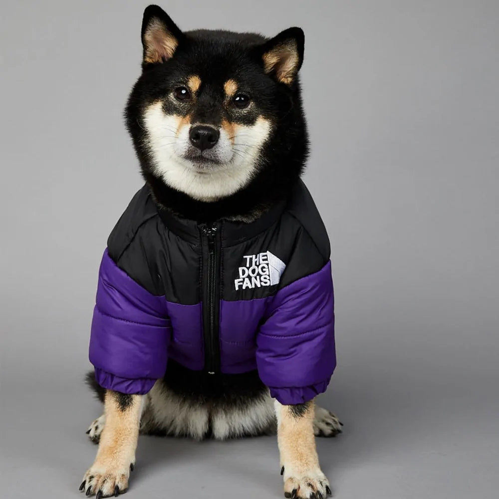 Schöne The Dog Face Winterjacke